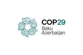 COP 29 Baku Azerbaijan Event Logo 